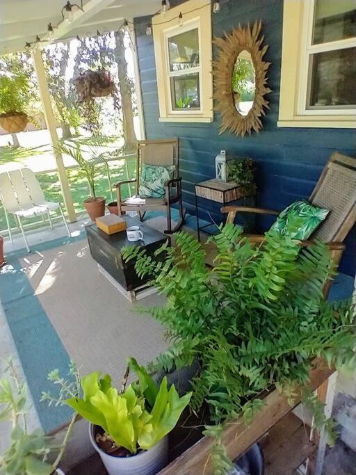 Apartment Gingerbird Art *